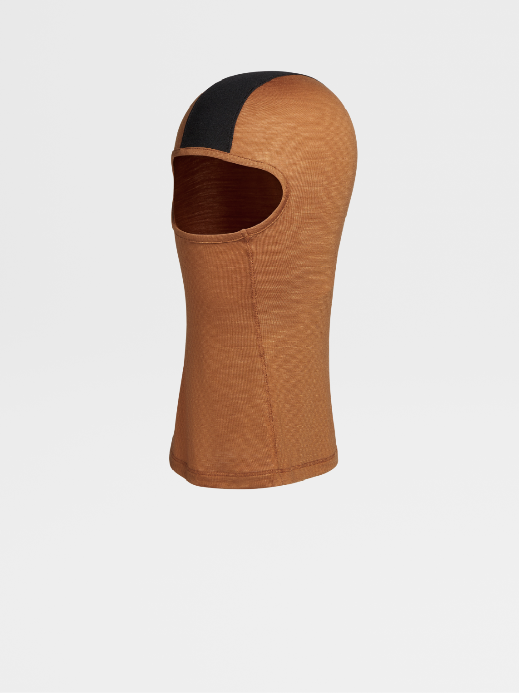 Vicuna